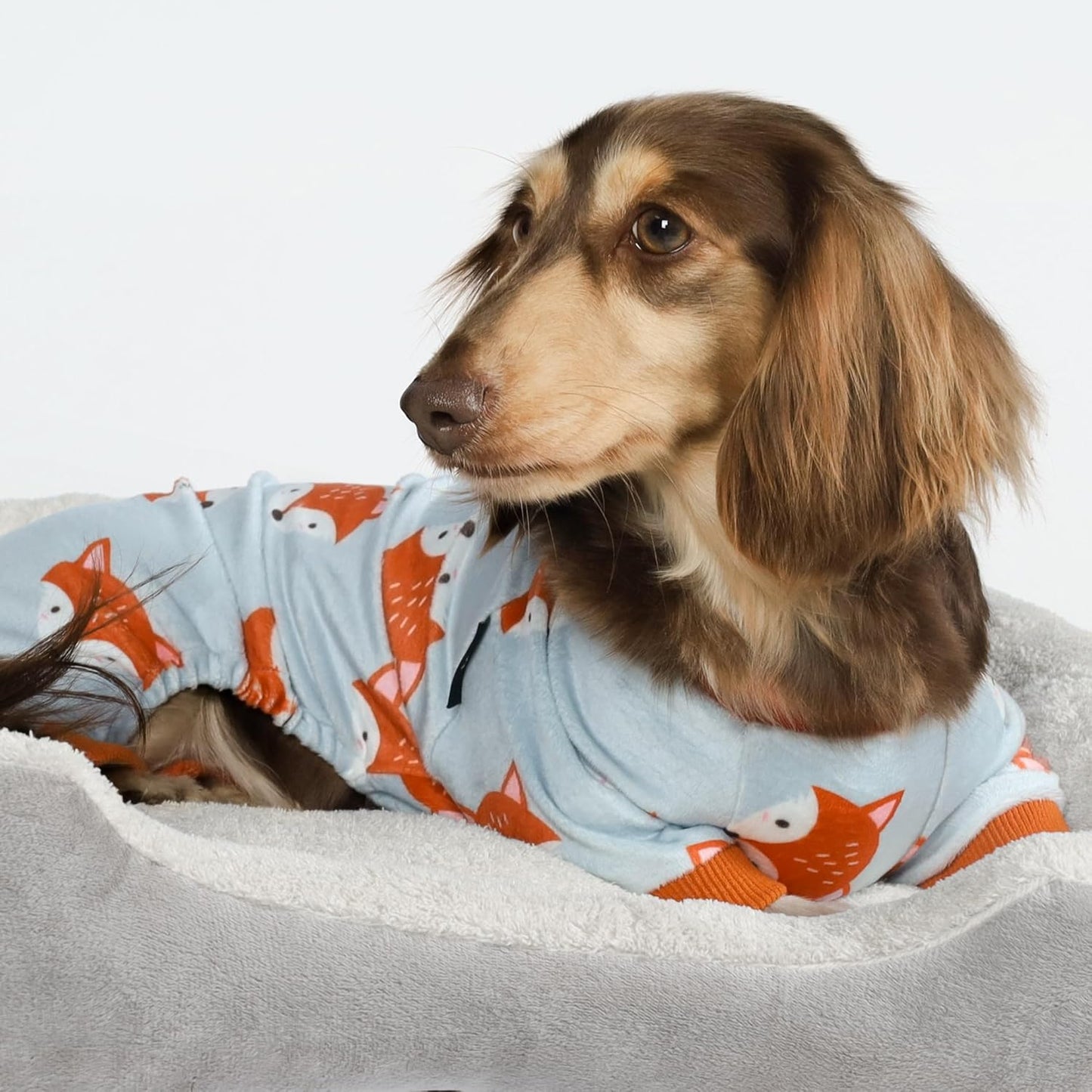 Fitwarm Funny Fox Dog Pajamas, Warm Dog Onesie, Dog Clothes for Small Dogs Girl Boy, Lightweight Velvet, Pet Outfit, Gray, Orange, XL