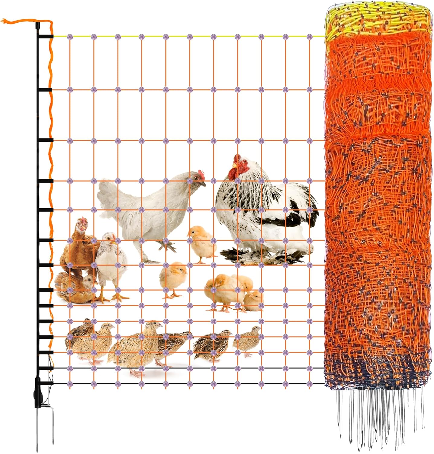 Pet & Livestock HQ Electric Fence Poultry Netting 48" x 164' - Portable Pre-Assembled Electric Net Fencing for Goats, Sheep, Lambs in Farms, Ranches, and Gardens (19 Posts, 2 Spikes)