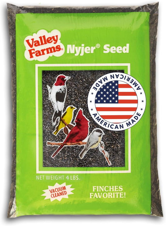 Valley Farms Nyjer Seed Wild Bird Food (4 LB) for Outside Feeders, Thistle Bird Seed for Outside Feeders, Great for Wild Finch!