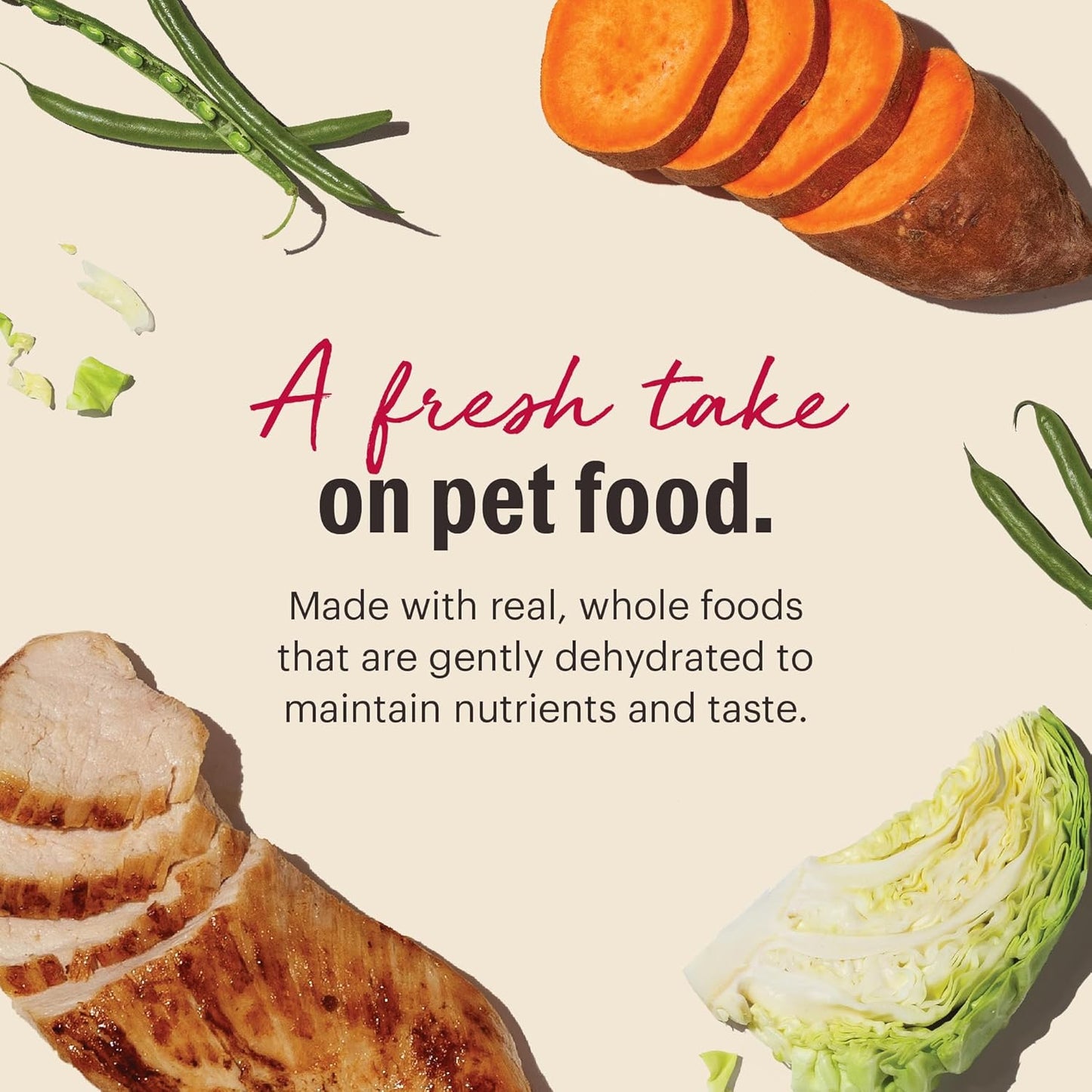 The Honest Kitchen Wholemade™ Grain Free Chicken Dog Food, 10 lb Box