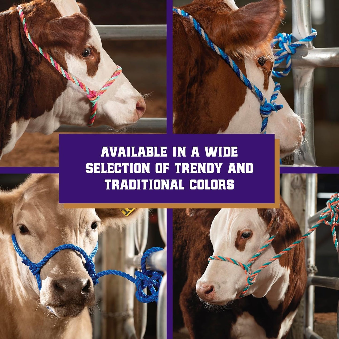 Weaver Livestock Braided Poly Rope Cattle Halter, Adjustable, Modern Style Cow Calf Halter, Livestock Handling Equipment for Showing, Blue/Coral/Gray