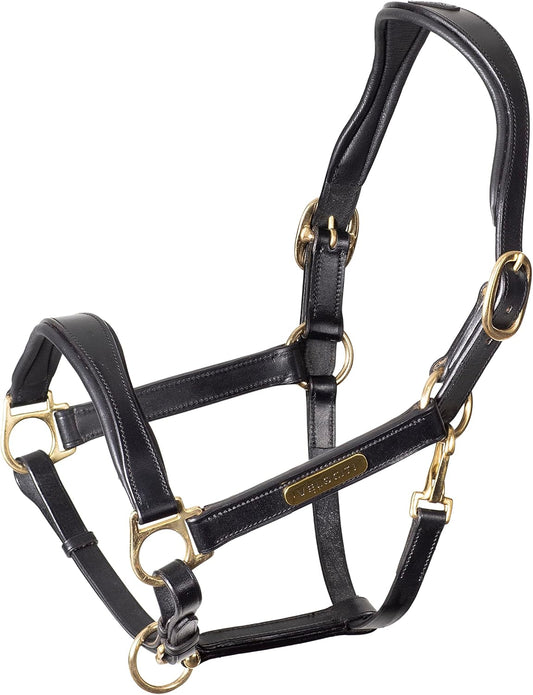 Shires Velociti Rapida Cushioned Leather Halter