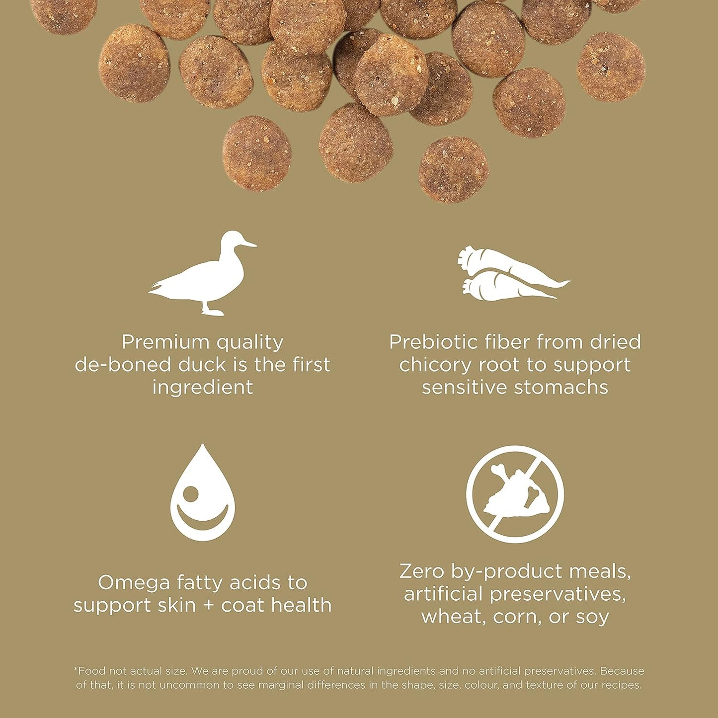 Go! Solutions Sensitivities Limited Ingredients, Grain-Free Dry Dog Food, Duck Recipe for Sensitive Stomach, 12 lb Bag