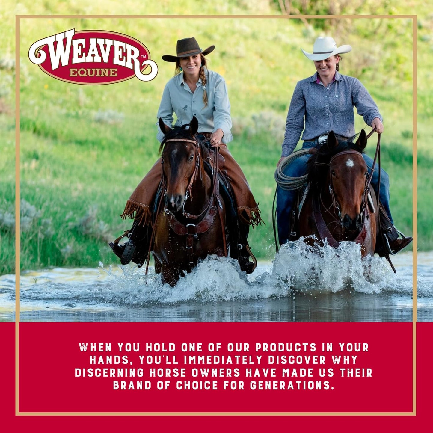 Weaver Equine 6-Piece Horse Grooming Kit, Ergonomic Gentle Horse Care Kit, Equestrian Supplies for Bathing Support, Detangling, and More, Purple/Black