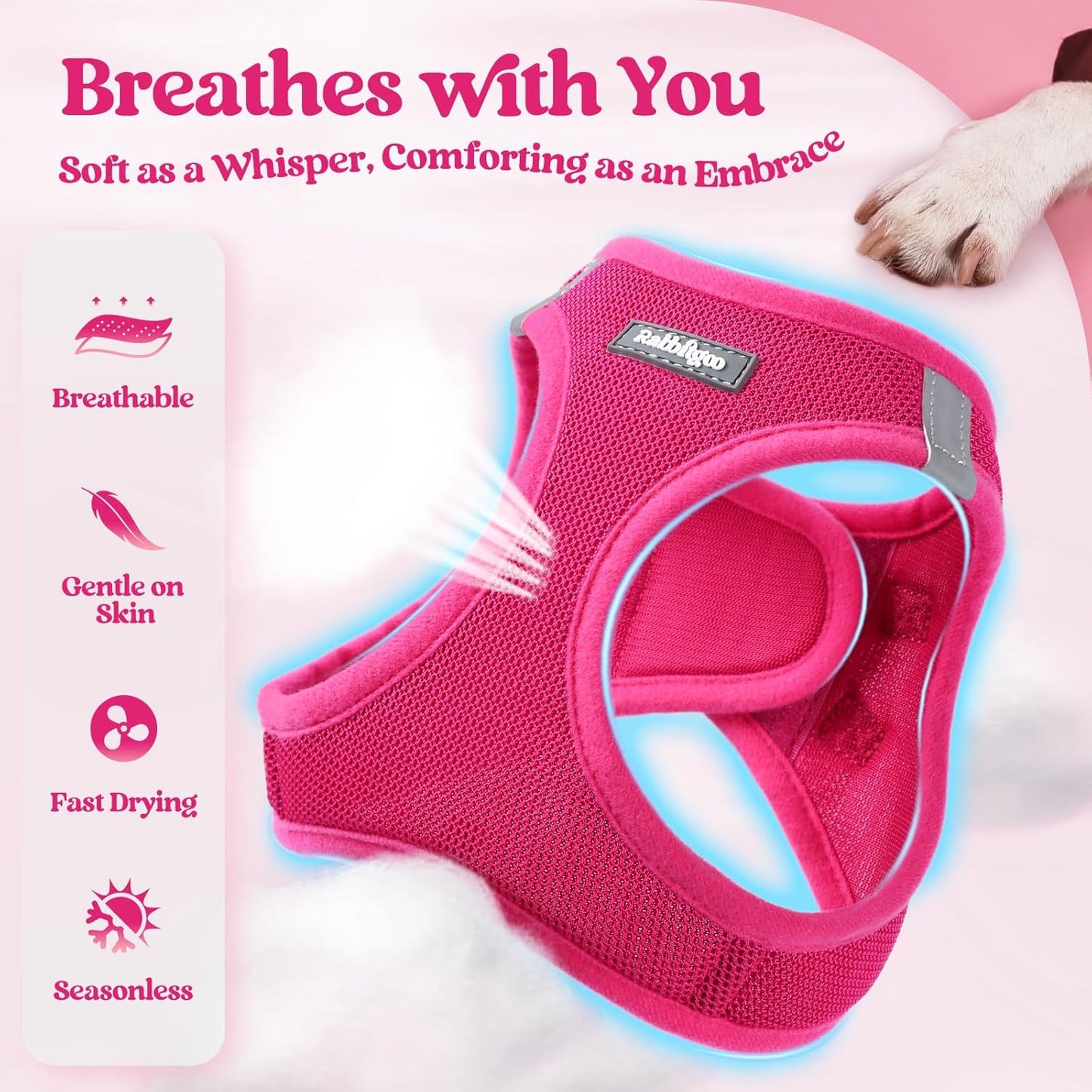 rabbitgoo Dog Harness Small Sized and Leash Set, Step in Soft Light Puppy Vest, Breathable Mesh Pet Harness, Reflective for Safe Easy Walking, Rosa Red XXXS