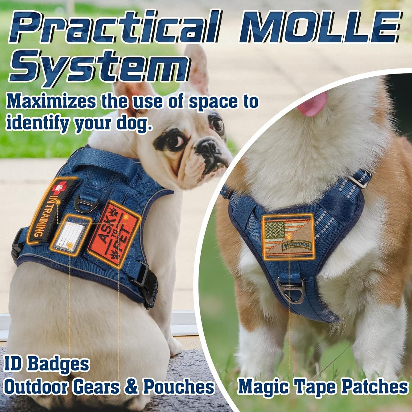 rabbitgoo Dog Harness No Pull, Military Dog Harness Medium Sized Dog with Handle & Molle, Easy Control Service Dog Vest Harness Training Walking, Adjustable Reflective Tactical Pet Harness, Blue, M