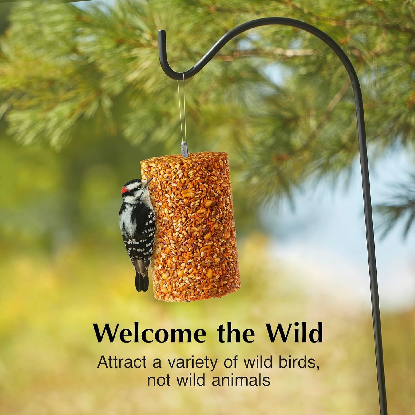 C&S Ready to Use Hot Pepper Seed Cylinder 1.76 Pounds 2 Pack