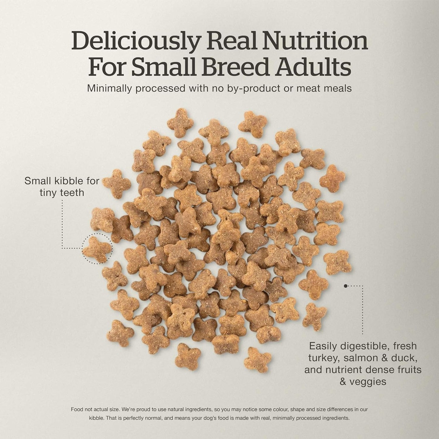 Now Fresh Grain-Free Small Breed Dry Dog Food with Turkey, Salmon & Duck, Healthy Kibble for Adults Made with Real Meat & Fish, Chicken-Free Recipe, Pumpkin & Probiotics for Good Digestion, 6 lb Bag