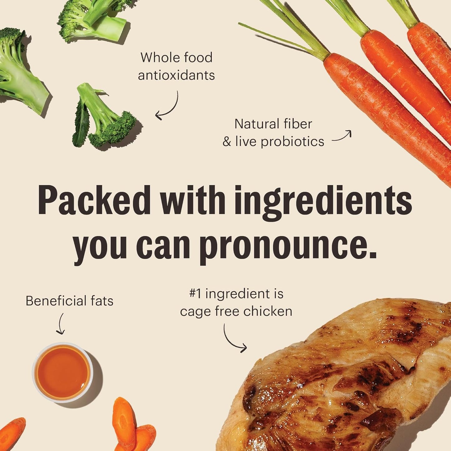 The Honest Kitchen Whole Food Clusters Grain Free Chicken Dry Dog Food, 20 lb Bag