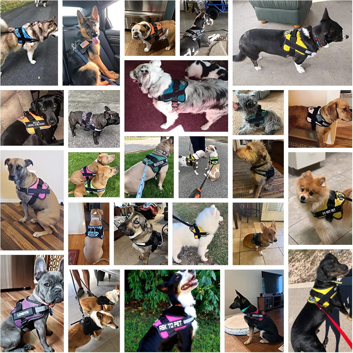 Bolux Dog Harness, No-Pull Reflective Dog Vest, Breathable Adjustable Pet Harness with Handle for Outdoor Walking - No More Pulling, Tugging or Choking (Purple, XS)