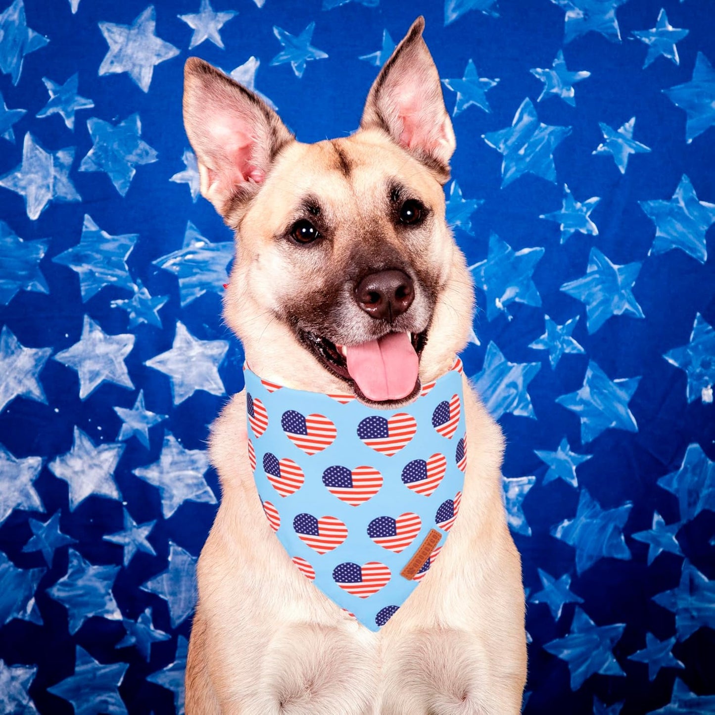 ADOGGYGO 4th of July Dog Bandanas, American Flag Pet Scarf, Multi Size Offered, White Blue Flag Bandana for Extra Large Dogs Pets (X-Large)