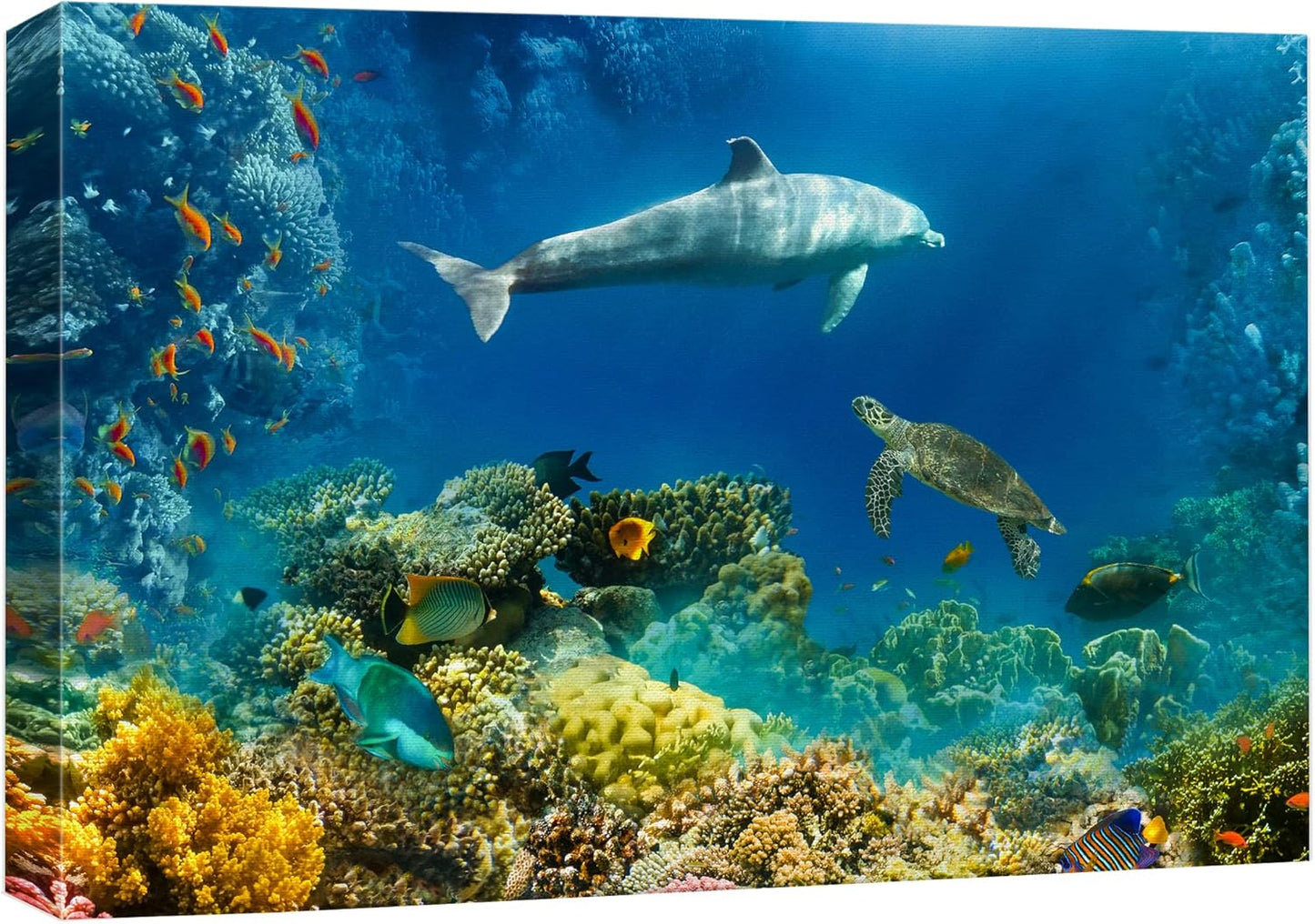 wall26 Canvas Print Wall Art Tropical Ocean Underwater Dolphin Coral Reef Nature Animals Photography Realism Rustic Scenic Landscape Wilderness Colorful for Living Room, Bedroom, Office - 32"x48"