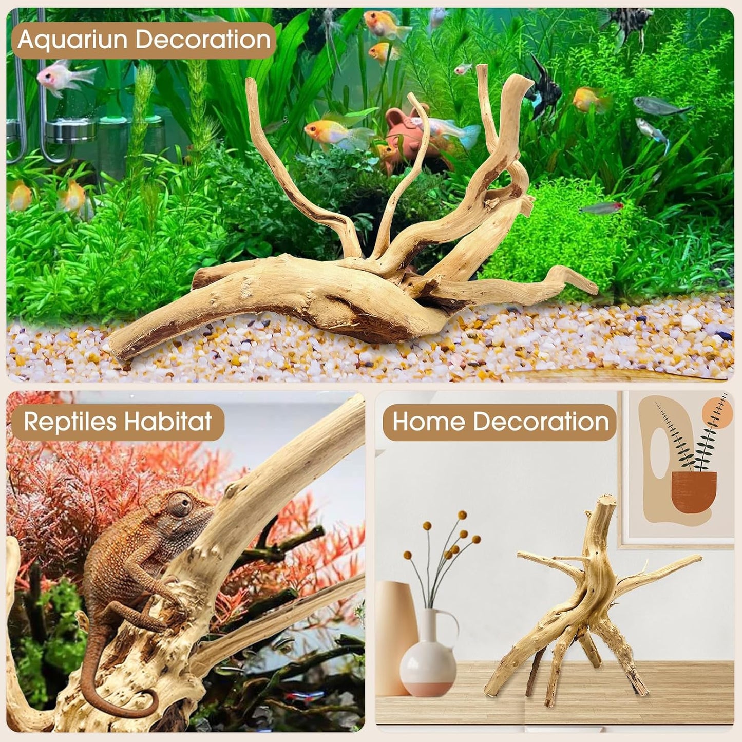 Natural Large Spiderwood Driftwood for Aquarium Decor Rptile Fish Tank Decoration Assort Branch 7-11'' 3 Pcs