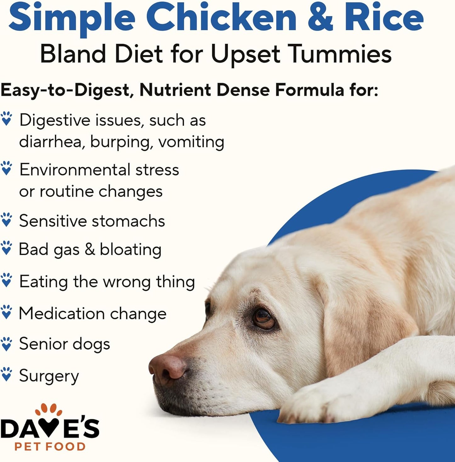 Dave's Pet Food Bland Diet Dog Food (Chicken & Rice), Sensitive Stomach, Easy to Digest, Gluten-Free, Digestive Care, Wet Canned, 13.2 oz (Case of 12)