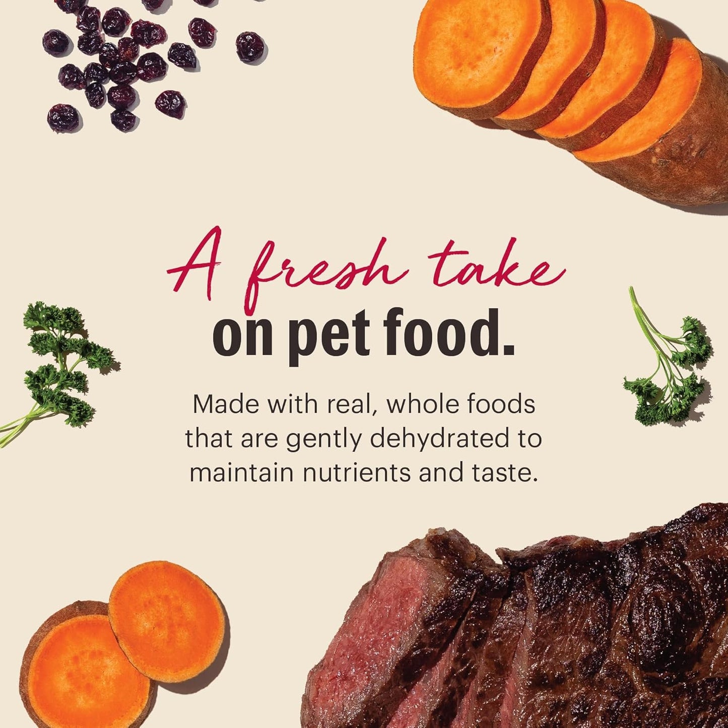 The Honest Kitchen Wholemade™ Grain Free Beef Dog Food, 7 lb Box