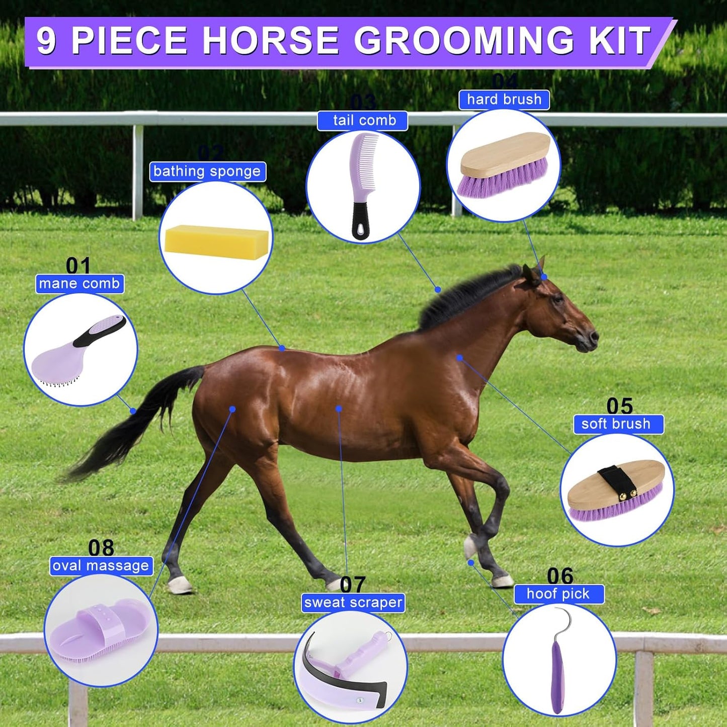 9 Pieces Grooming Kit with Tote Bag, Sweat Scraper, Sponge, Hoof Pick, Curry Comb for Horse Riders Beginners (Purple)