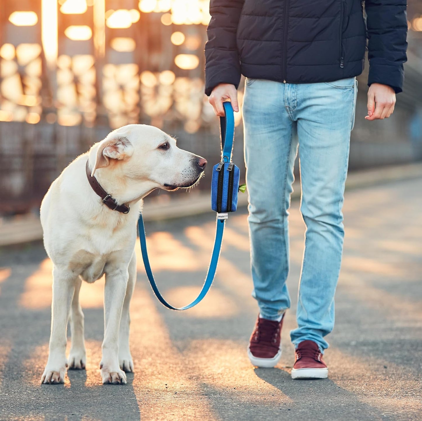 Dog Poop Bag Holder for Leashes - Dog Poop Bag Dispenser and Treat Holder with 2 Waterproof Pouches for Pet Waste Bags and Walking Accessories + 1 Free Roll - Leashrr 2.0 (Teal)