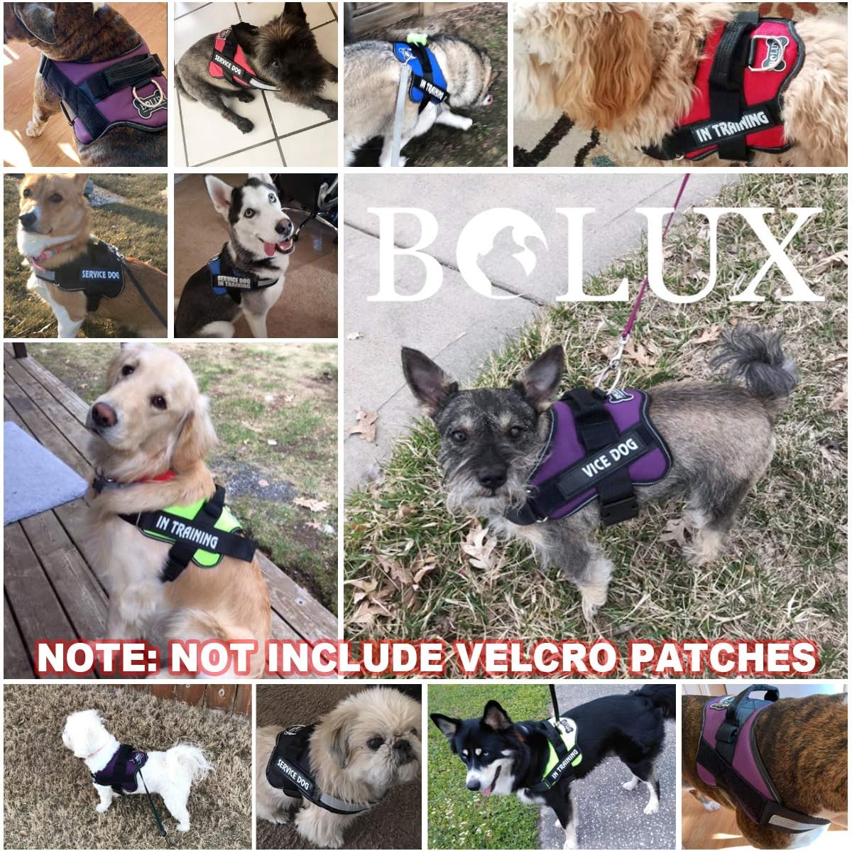 Bolux Dog Harness, No-Pull Reflective Dog Vest, Breathable Adjustable Pet Harness with Handle for Outdoor Walking - No More Pulling, Tugging or Choking (Black, L)