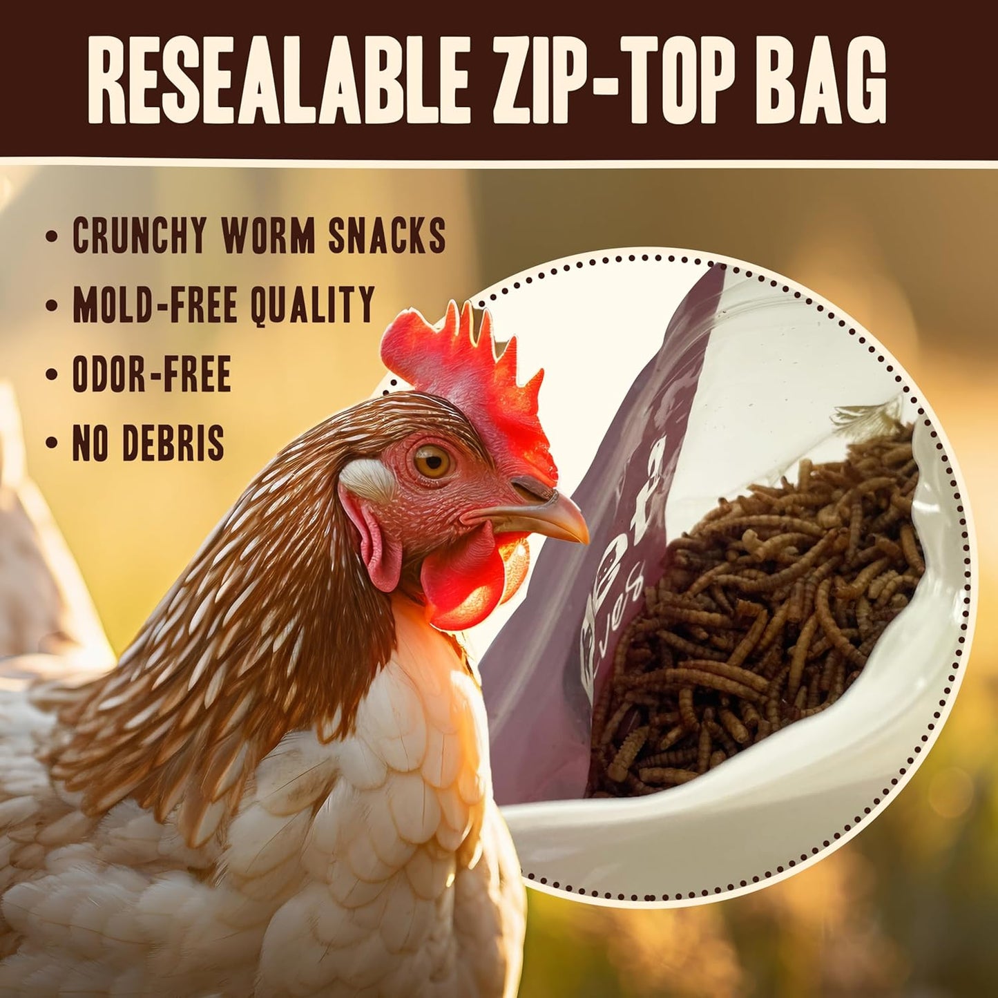 Dried Mealworms for Chickens, Birds, Hamster, Reptile and Turtle - Premium Non-GMO Treats with 55% Protein for Laying Hens - Organic Food for Wild Bird, Bluebirds, Robins, Cardinals. 5 Lb