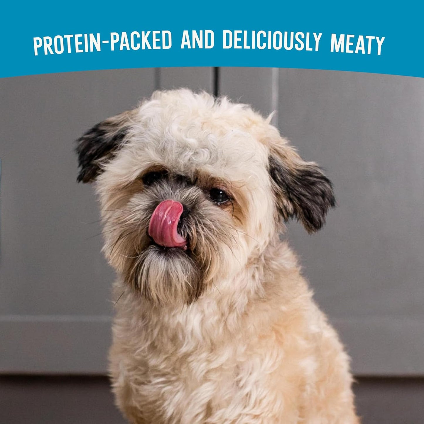 Open Farm, Air Dried Dog Food Infused with Bone Broth, Grain & Legume Free, Complete Meal or Food Topper, Surf & Turf Recipe, 1lb Bag