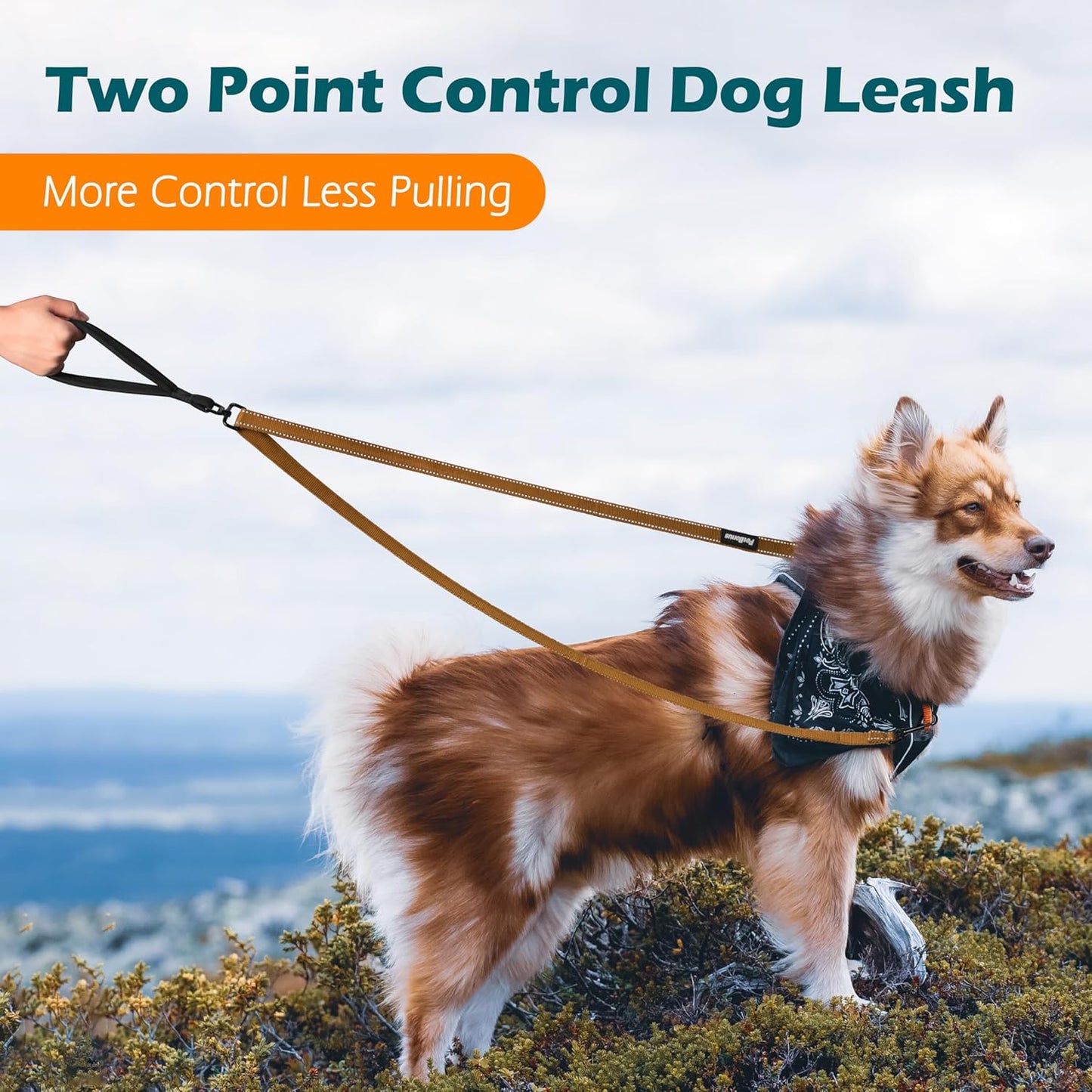 PetBonus Two Point Control Dog Leash, Works with No Pull Harnesses, No Tangle Dog Training Leashes, No Pull Padded and Reflective Walking Lead, Converts to Single Leash for Medium Large Dogs (Brown)