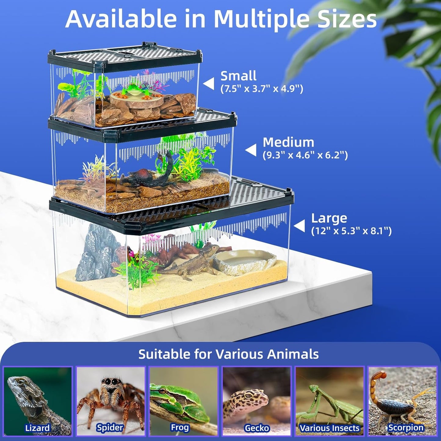 High-Transparency Reptile & Insect Enclosure Terrarium with Magnetic Door, Excellent Ventilation, Easy Cleaning, and Strong, Long-Lasting Build for Gecko, Tarantula, Hermit Crab (7.5x4.9x3.7 Inch)