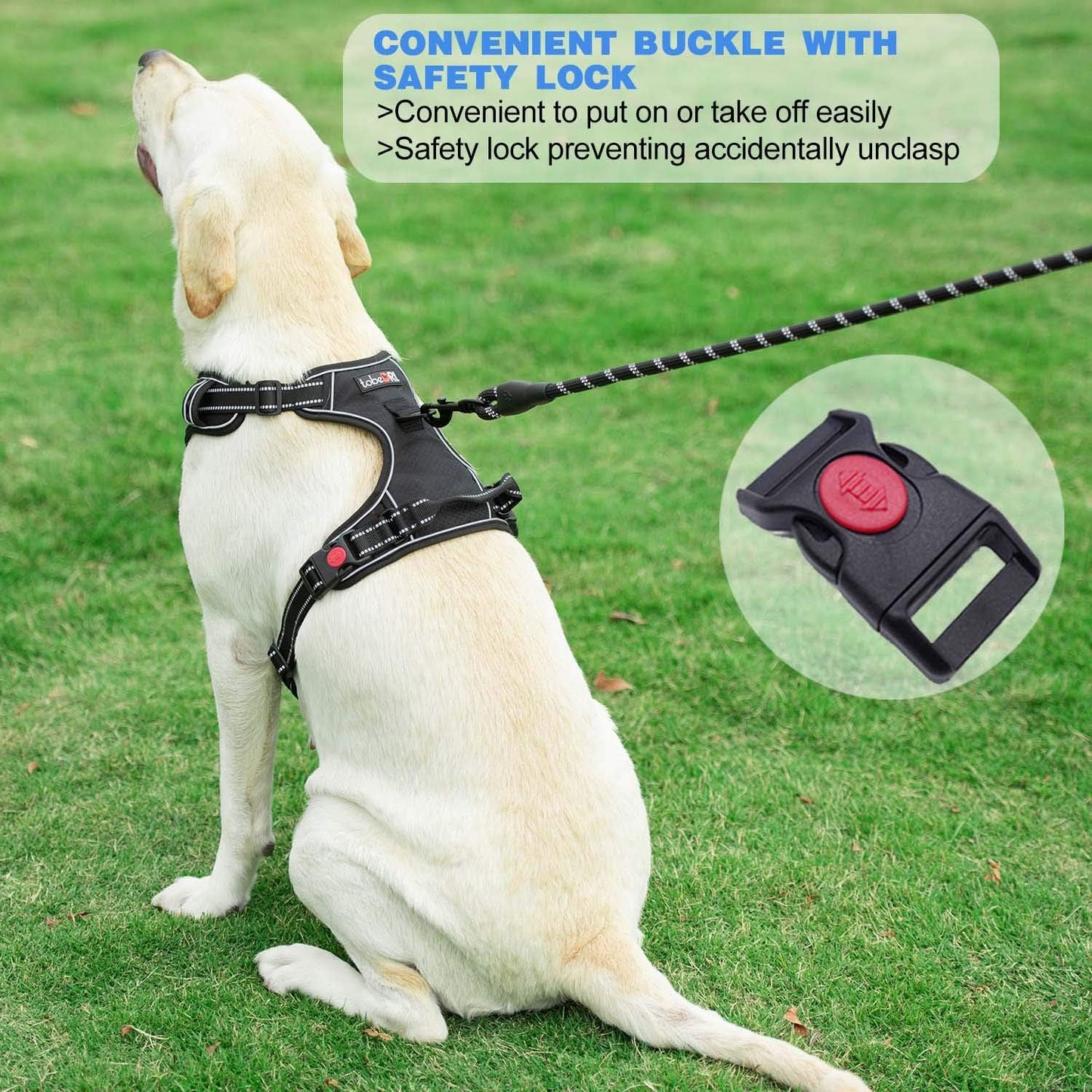 No Pull Dog Harness Adjustable Reflective Oxford Easy Control Medium Large Dog Harness with A Free Heavy Duty 5ft Dog Leash (S (Neck: 14"-17", Chest: 18"-21"), Red Harness+Leash)