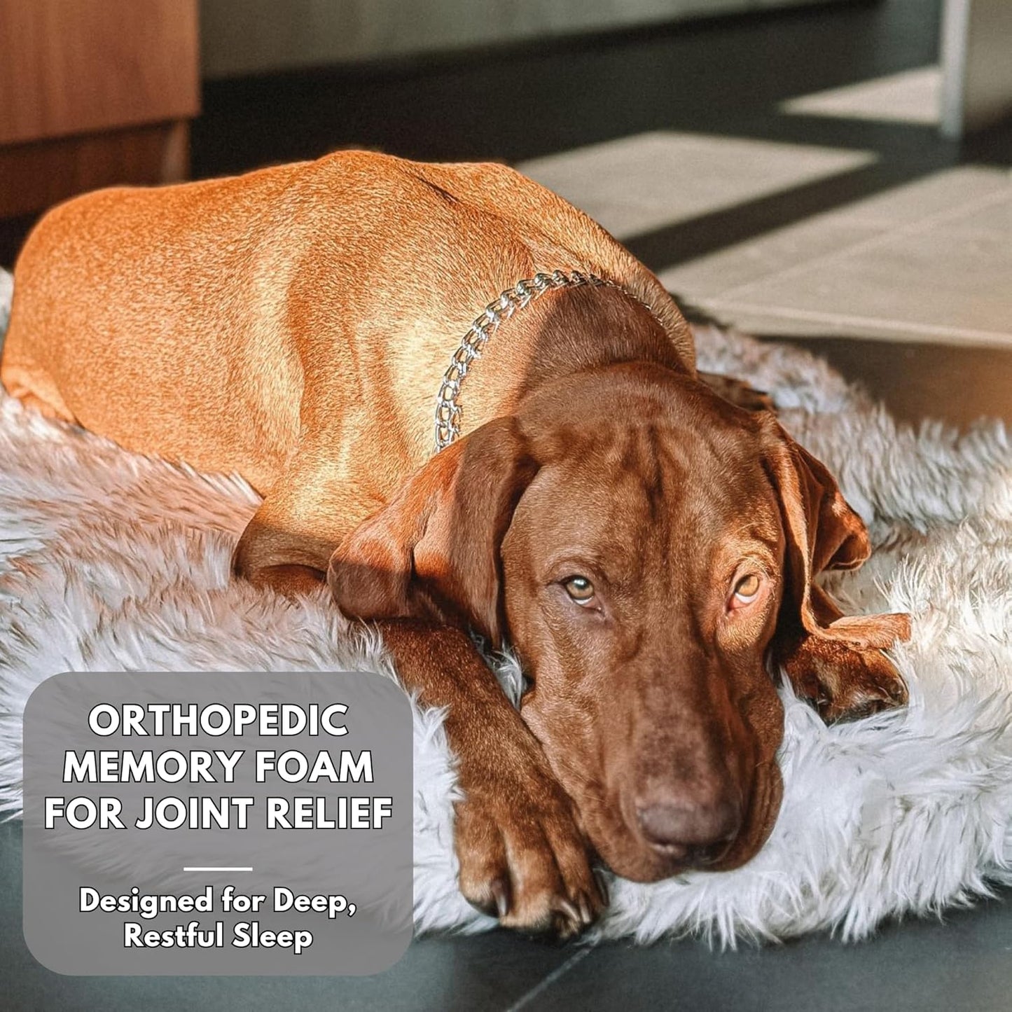 IHAPPYDOG Luxury Faux Fur Orthopedic Dog Bed, Memory Foam Dog Bed for Small, Medium, Large and XL Pets, Fluffy Pet Bed with Waterproof and Washable Cover (White w/Brown Tips, 50"x30")