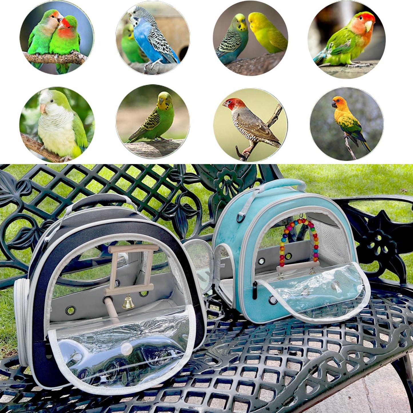 Portable Parrot Travel Cage Carrier with Small Swing Toy&Cage Colorful Toys Set Small Bird Parakeet Bag with Standing Perch Bird Carry Transport Bag (Black, Carrier/Mirror)