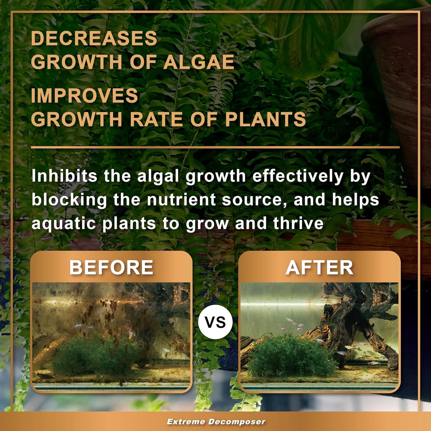 AZOOPLUS BIO XD Extreme Decomposer Nitrifying Bacteria for Freshwater and Saltwater Fish Tank 33.8 Ounces