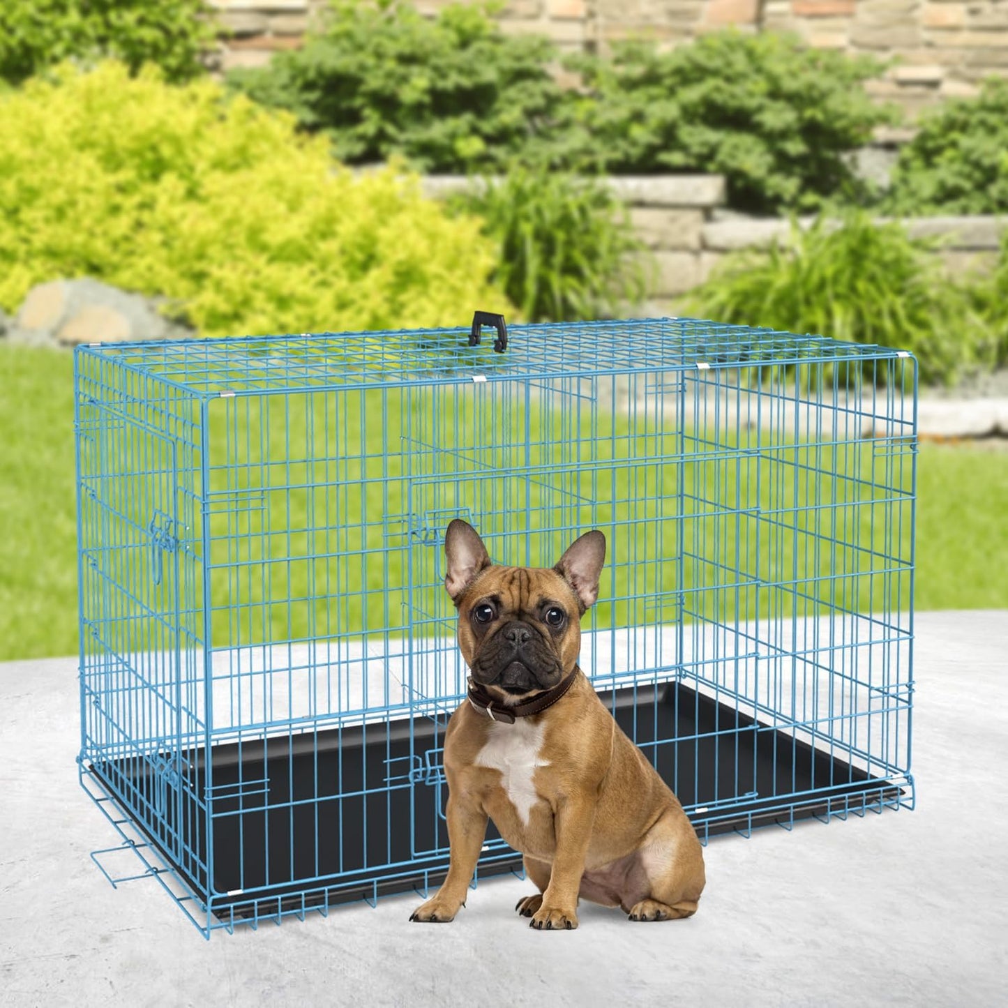 BestPet | Dog Crate | 30" | Blue | Foldable Metal Kennel with Double Doors, Secure Slide-Bolt Latches, Leakproof Tray | Portable Dog Cage for Small Breeds | for Travel, Indoor & Outdoor Use
