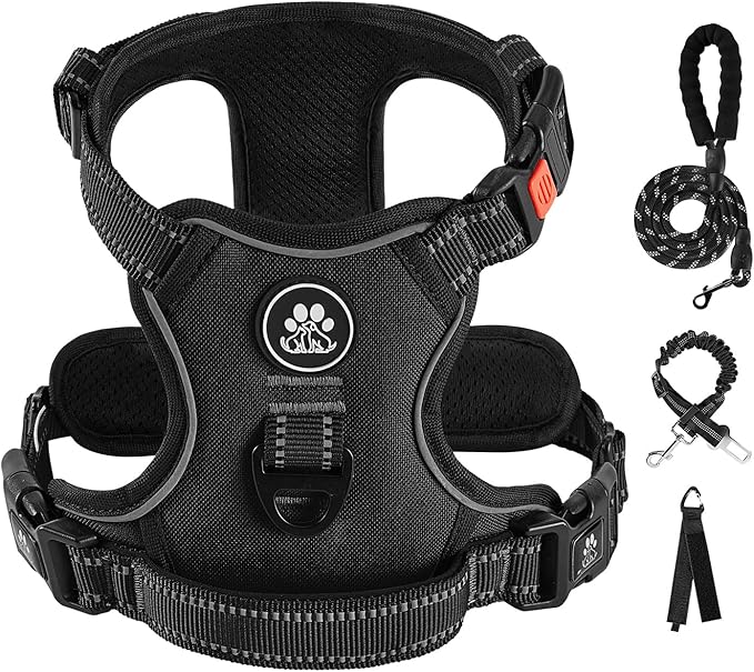 IVY&LANE No Pull Dog Harness for Medium Dogs, Dog Vest Harness with Leash, Safety Belt and Storage Strap, Fully Adjustable Harness, 360° Reflective Strip, Soft Handle (Black, M)