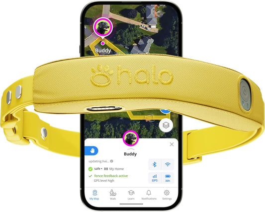Halo Collar 4, All New GPS Wireless Dog Fence & Dog Training Collar with GPS Tracker, Subscription Required, Waterproof, One Size, Sunburst