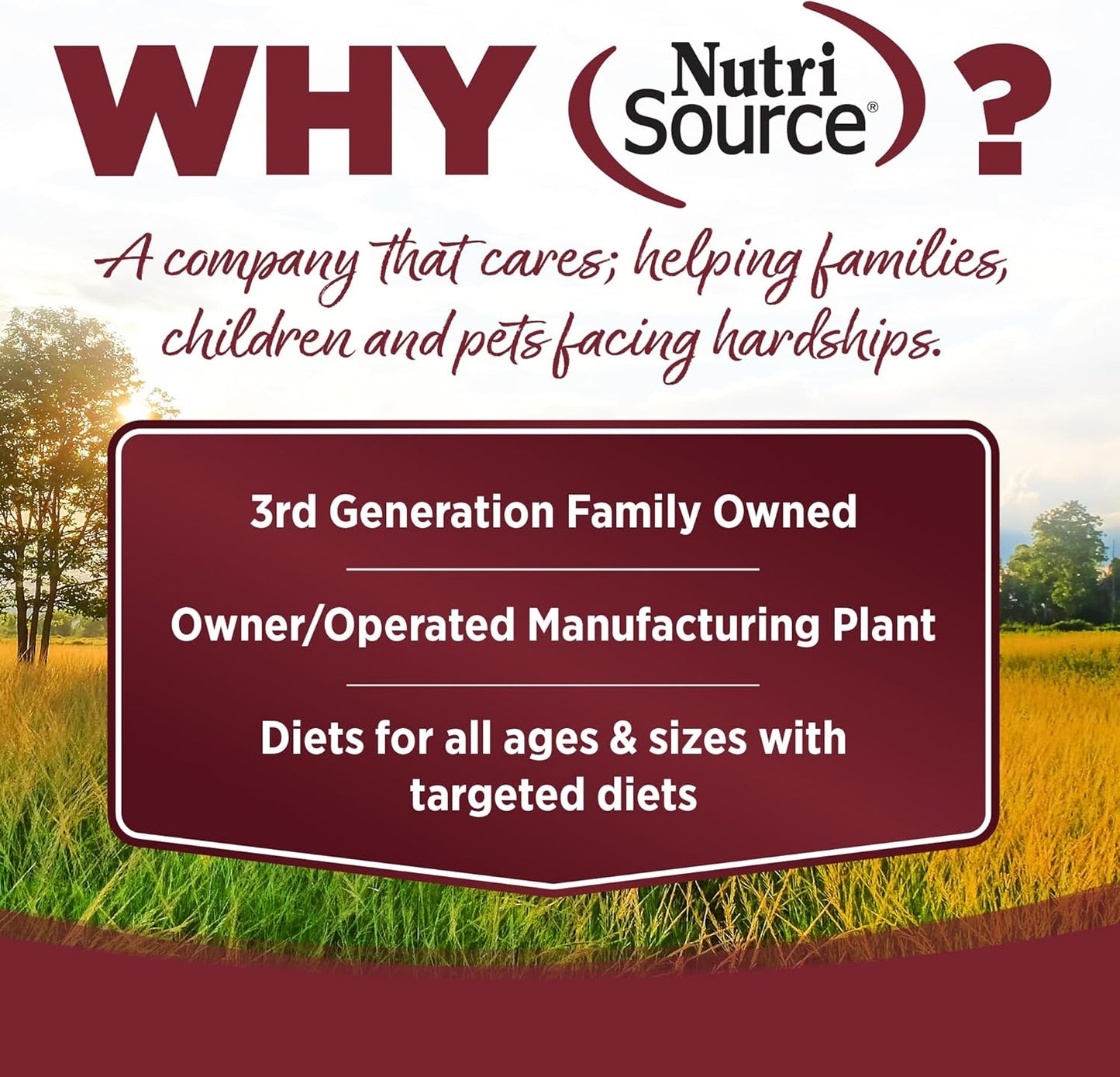 NutriSource Dry Dog Food, Beef and Rice, 4LB