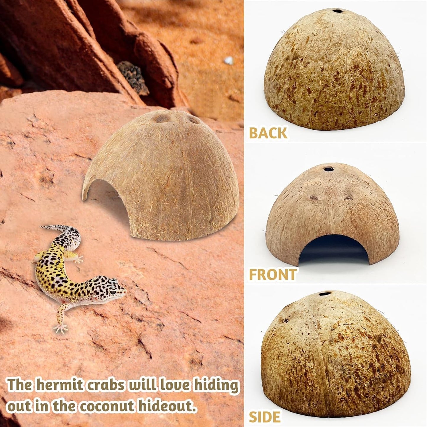 PINVNBY 6 PCS Natural Coconut Reptile Hideouts Lizard, Coco Hut Hermit Crab Hut Aquarium Fish Hide Cave for Small Reptile Crested Gecko Leopard Gecko Spider Snail Climber Toys