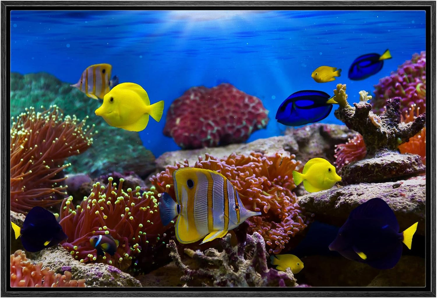 wall26 Framed Canvas Wall Art - Coral Reef and Tropical Fish Under The Ocean | Modern Home Art Framed Canvas Prints Gallery Wrap Giclee Printing & Ready to Hang - 24"x36" Black