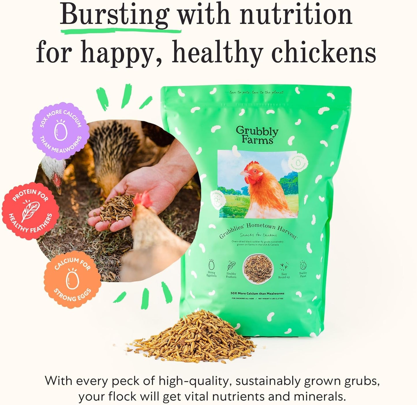 Grubblies - Black Soldier Fly Larvae for Chickens - Chicken Treats Grown in The US and Canada - for Strong Eggshells and Healthy Feathers - Grubblies Hometown Harvest 5LB
