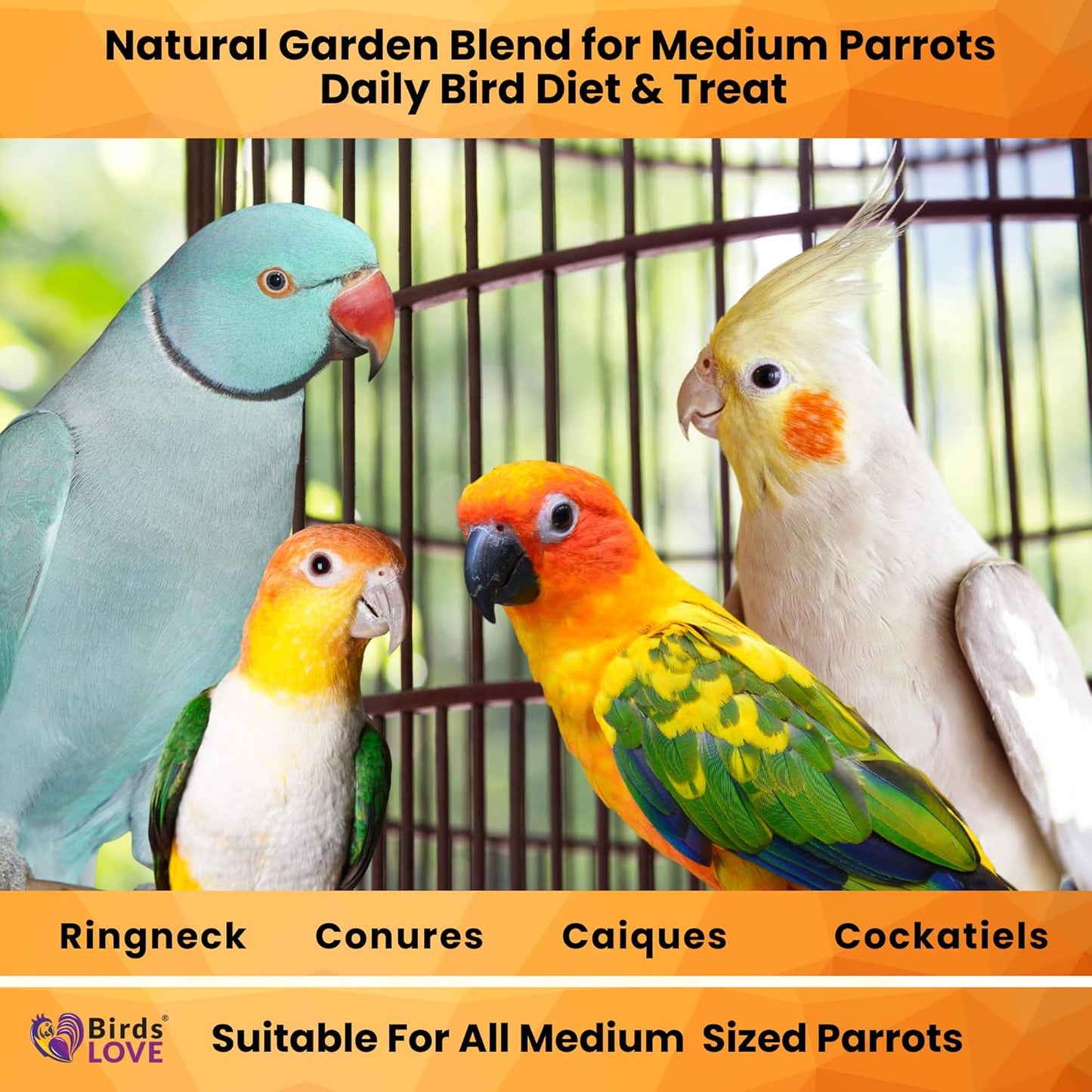 Birds LOVE All Natural Garden Blend Bird Food for Medium Birds - Cockatiels, Green Cheek Conures, Ringneck Parakeets and Small Quakers 4lb