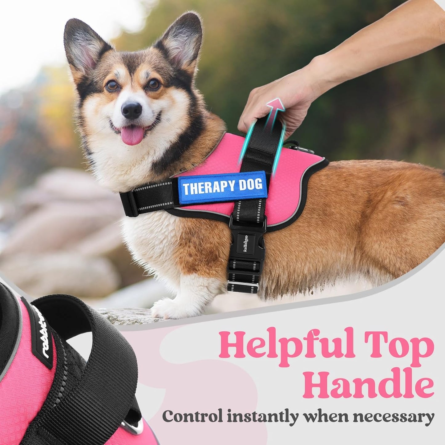 rabbitgoo Dog Harness for Small, Easy On Pet Vest with One Buckle, No Pull Adjustable Service Harness with D-Ring & Handle, Reflective for Safety Walking, Training, Pink, S