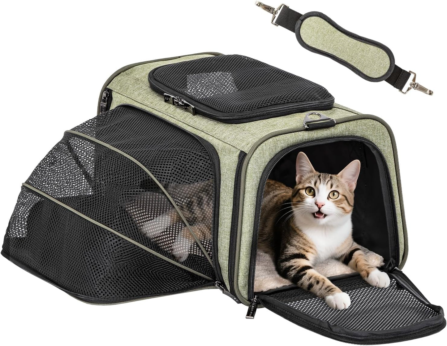 Petsfit Expandable Rabbit Carrier Small Cat Carrier Airline Approved, 16X10X9 Inches Soft-Sided Portable Small Animal Travel Bag for Kitten/Puppy/Bunny/Guinea Pig