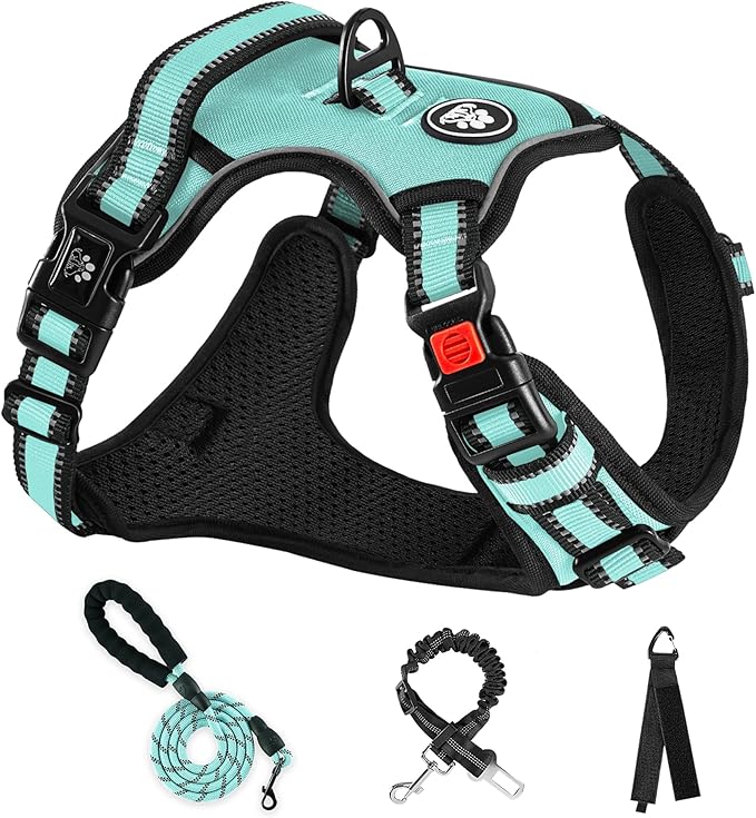 NESTROAD No Pull Dog Harness,Adjustable Oxford Dog Vest Harness with Leash,Reflective No-Choke Pet Harness with Easy Control Soft Handle for Large Dogs(Large,Turquoise)