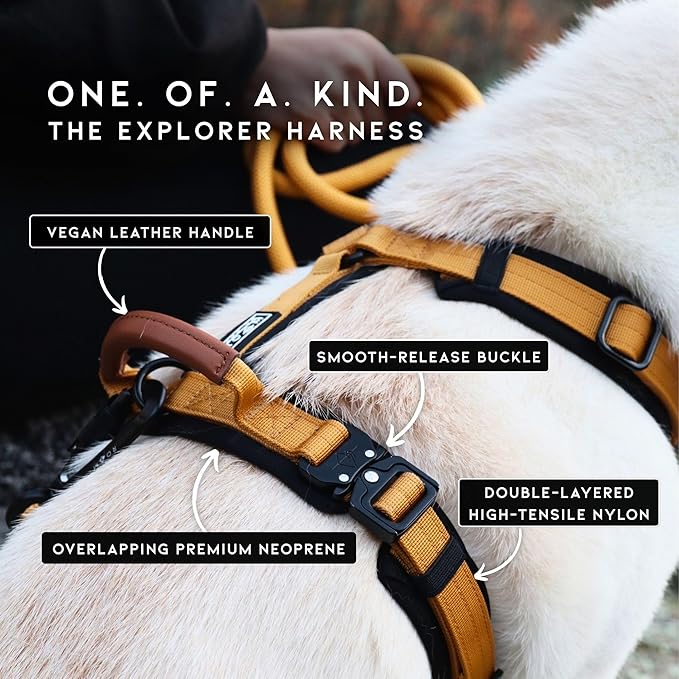 MADE TO ROAM Premium Explorer Harness - Y-Shaped Dog Harness with Adjustable Durable Nylon, Soft Padding, Metal Buckles and Leather Handle for Small, Medium, Large Dogs (California Horizon, Size 5)