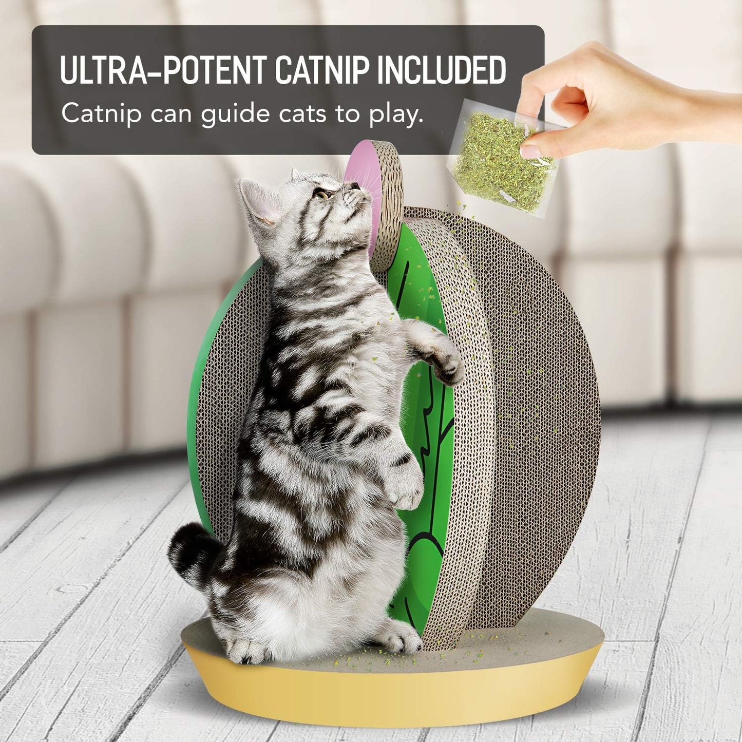 Cat Condo Scratcher Post Cardboard, Cactus Shape Cat Scratching House Bed Furniture Protector, Green Colour