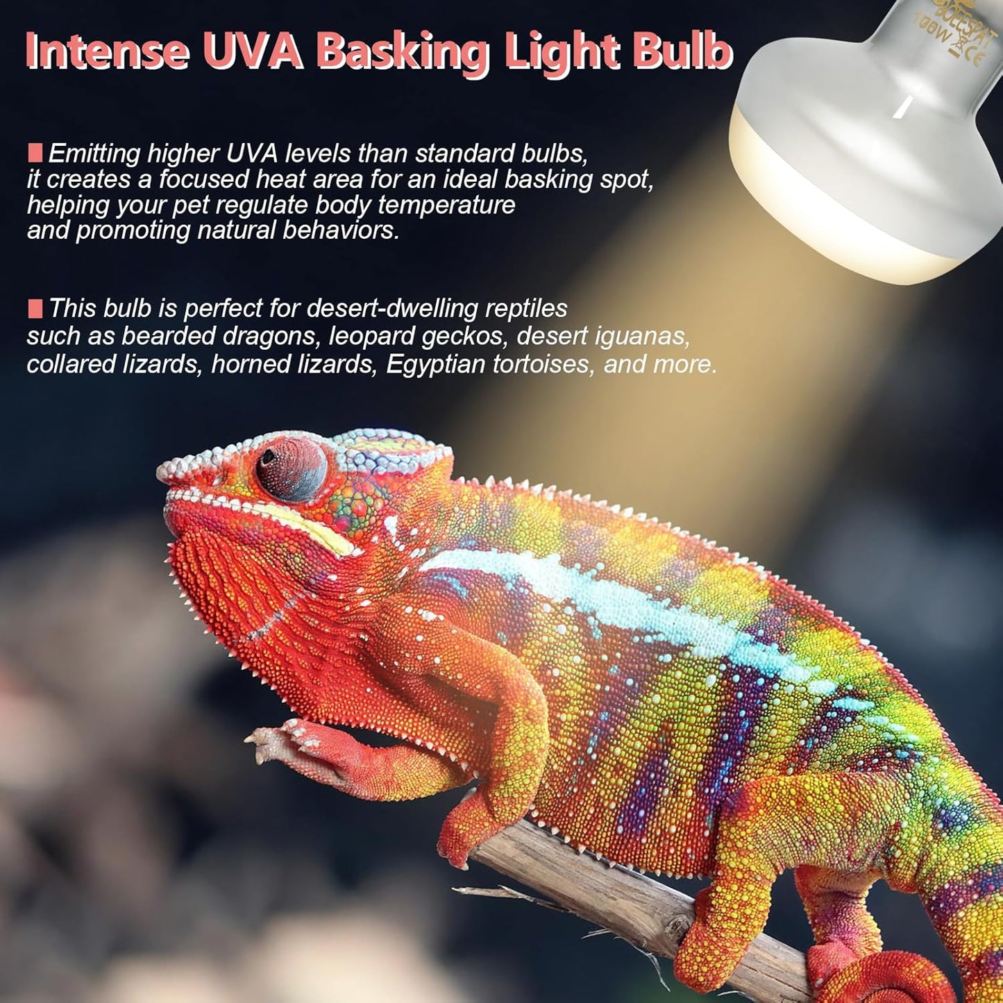 Intense 100W UVA Spotlight Heat Lamp Bulbs for Reptile Basking and Terrariums - Ideal for Desert-Dwelling Reptiles Like Bearded Dragons, Geckos, Iguanas, Lizards, Amphibians (Pack of 2)