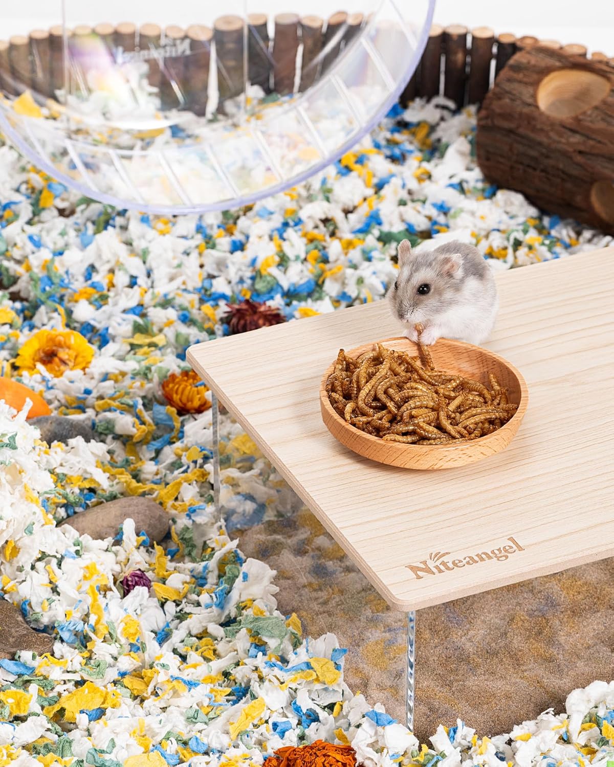 Niteangel Small Animal Snack & Treats - Small Critter Natural Treat for Dwarf Syrian Hamsters Gerbils Mice Sugar Glider Hedgehogs Chickens Birds