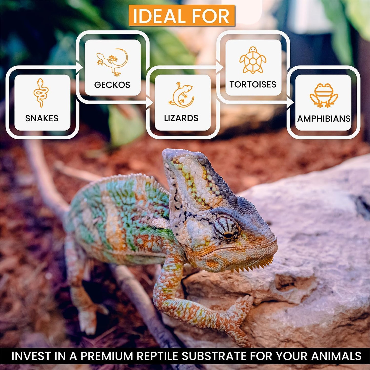 ReptiChip Reptile Substrate Coconut Chip Bedding 72 Quart Compressed Organic Coco Husk Block for Snake Habitat, Ball Python Terrarium, Turtle Tanks, Tortoise Enclosure (3 Pk)