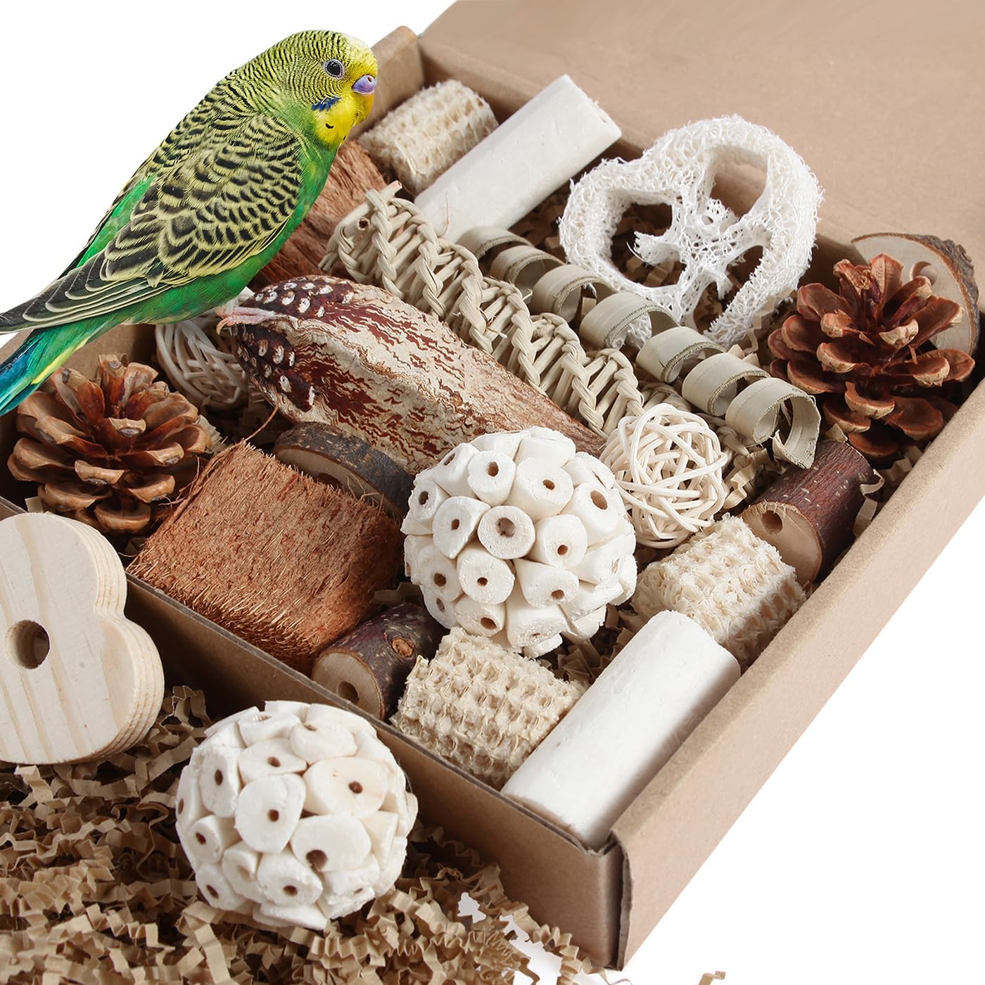 Kyouki Bird Toys Parrot Toys Natural Bird Foraging Box Foot for Parakeets,Cockatiels,Conures,Love Birds,and Other Small to Medium Birds (Medium)