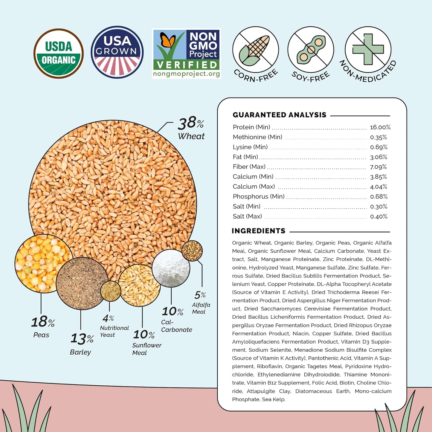 Organic Chicken Feed – Layer Mash, Non-GMO, USA Grown, 16% Protein, Corn-Free, Soy-Free, Non-Medicated Feed for Chickens, 23 lbs