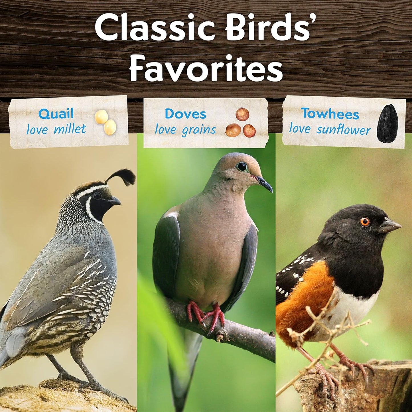 Morning Song Dove & Ground Feeding Wild Bird Seed -12 lb. Dove, Quail & Pigeon Wild Bird Food for Outside Feeders