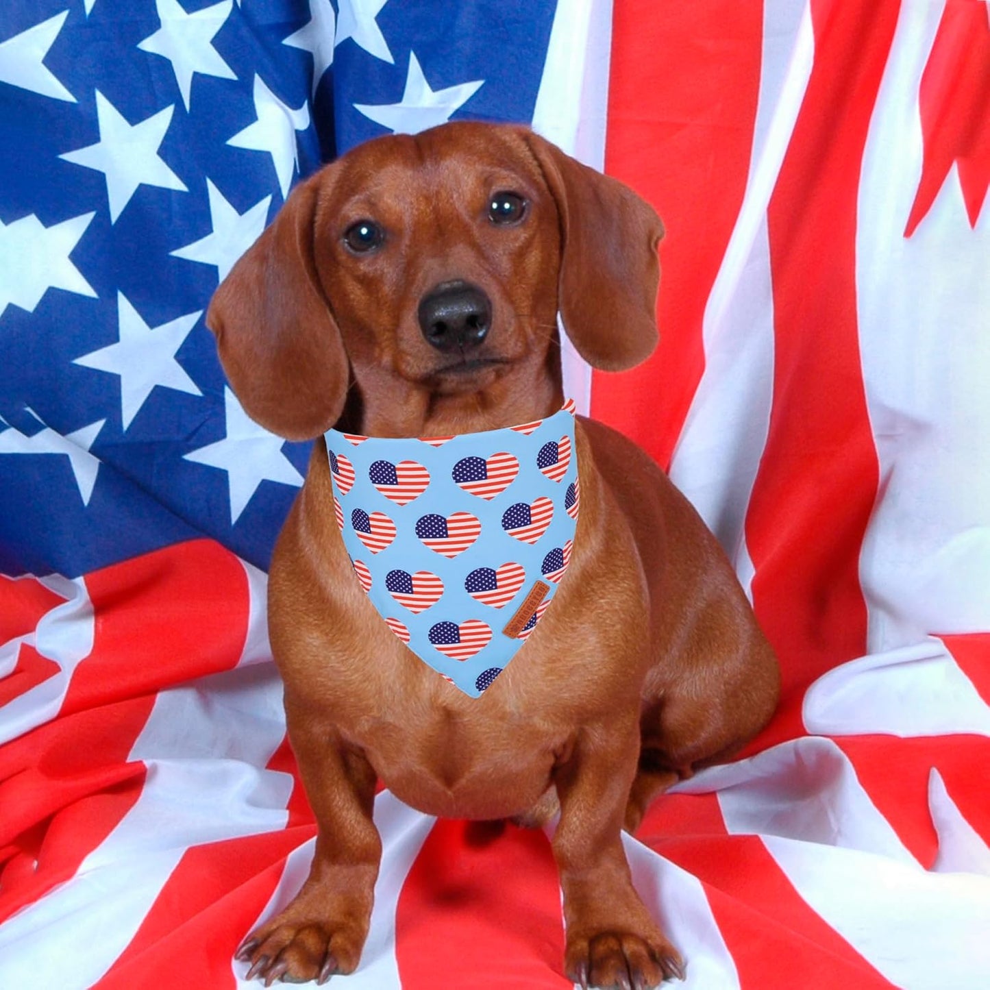 ADOGGYGO 4th of July Dog Bandanas, American Flag Pet Scarf, Multi Size Offered, White Blue Flag Bandana for Small Dogs Pets (Small)